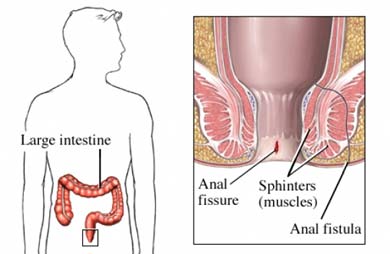 Nucleus factsheet image